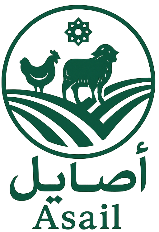 Asail store - Almomani Cyber Solutions Customer